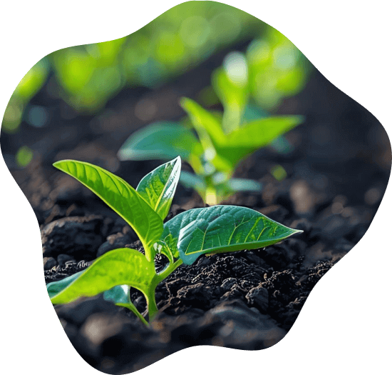 Agriculture & Health