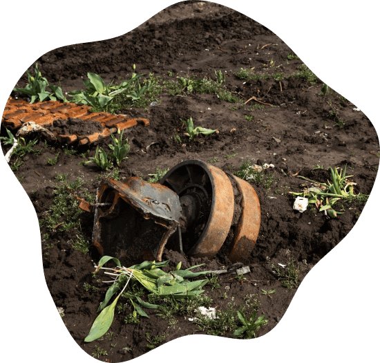 Agriculture & Health